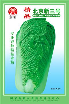 Beijing New No.3 (Jing Nuo)Chinese Cabbage
