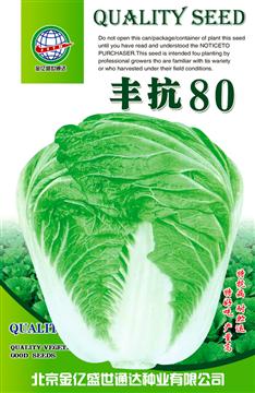 Feng Kang 80Chinese Cabbage