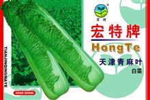 Tianjin Qingmaye Chinese Cabbage