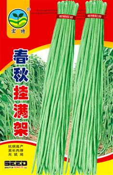 Chunqiu Gua Man JiaVegetable Legumes