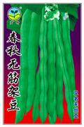 Chunqiu No Fiber Pole Bean