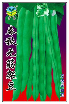 Chunqiu No Fiber Pole BeanVegetable Legumes