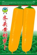 Qitou Yellow Carrot