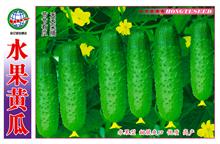Fruit Cucumber